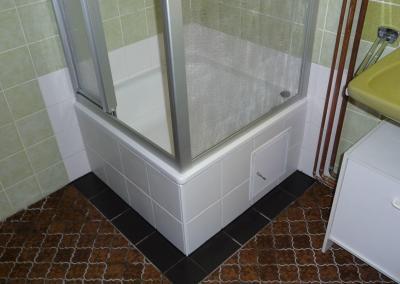 Instandsetzung einer undichten Dusche und Schimmelbefall in Berlin