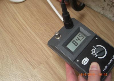 Feuchtigkeitsmessung an Wand Wohnzimmer Brandenburg