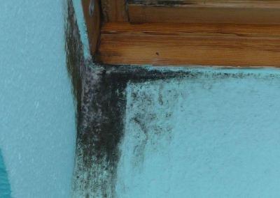 Schimmelbefall an Holzfenstern