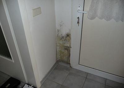 Grüner Schimmel an Tür beseitigen