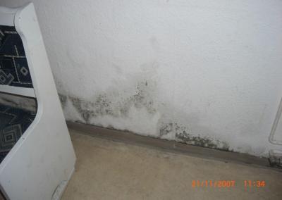 Schimmelbeseitigung in Gästezimmer beseitigen in Brandenburg