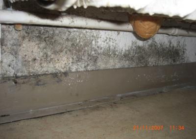 Schimmelbefall in Garage in Berlin