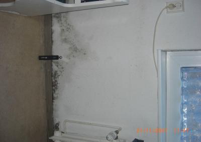 Schimmelbefall in Küche in Brandenburg