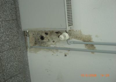 Schimmelbildung in einem Treppenhaus Aussenwand in Brandenburg