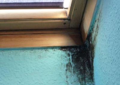 starker Schimmelbefall an Fensterleibungen wegen mangelnder Lüftung in Berlin und Brandenburg