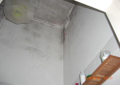 Schimmelbefall in einer Dusche -Decke