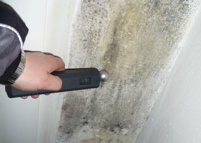 Starker Schimmel an der Hauseingangstür