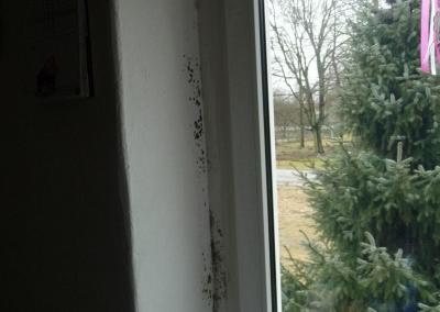 Schimmel in den Fensterleibungen