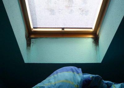 Wie beseitige ich Schimmelbefall an Dachfenstern