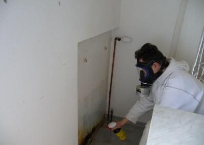 Wie Schimmelschäden beseitigen mit spezialmittel in Brandenburg