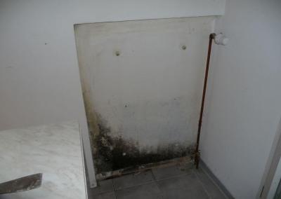 nach Entnahme von Heizkörper Schimmel beseitigen in Berlin