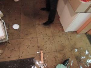 Wasserschaden Überschwemmung - Wasserhöhe