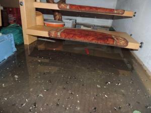 Wasserschaden Überschwemmung - Aufgang Erdgeschoss in Brandenburg