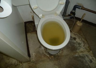 Notdienst nach einer Überschwemmung im WC Wasserschaden Berlin