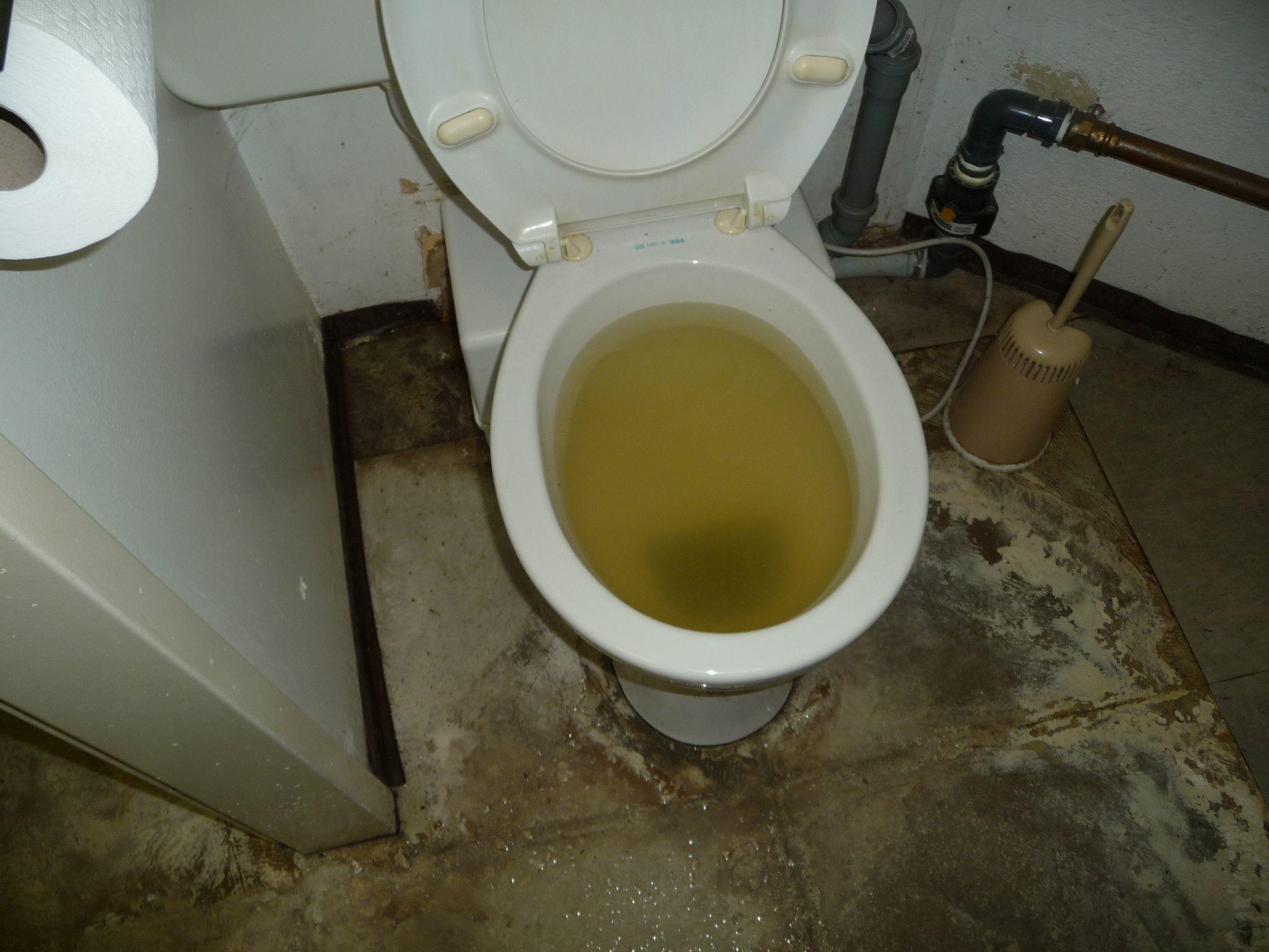 Notdienst nach einer Überschwemmung im WC Wasserschaden Berlin