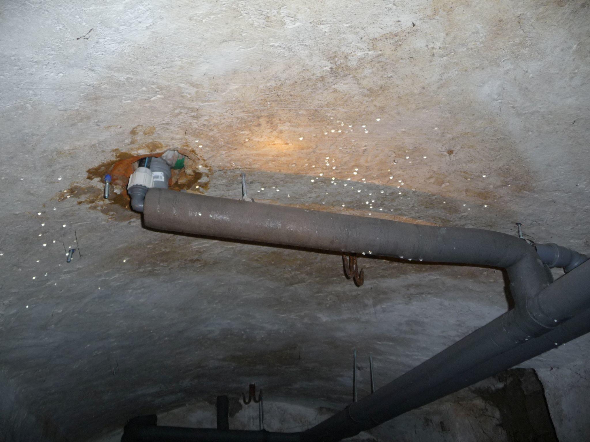 Wasserschadensanierung Wasserschaden Berlin und Brandenburg