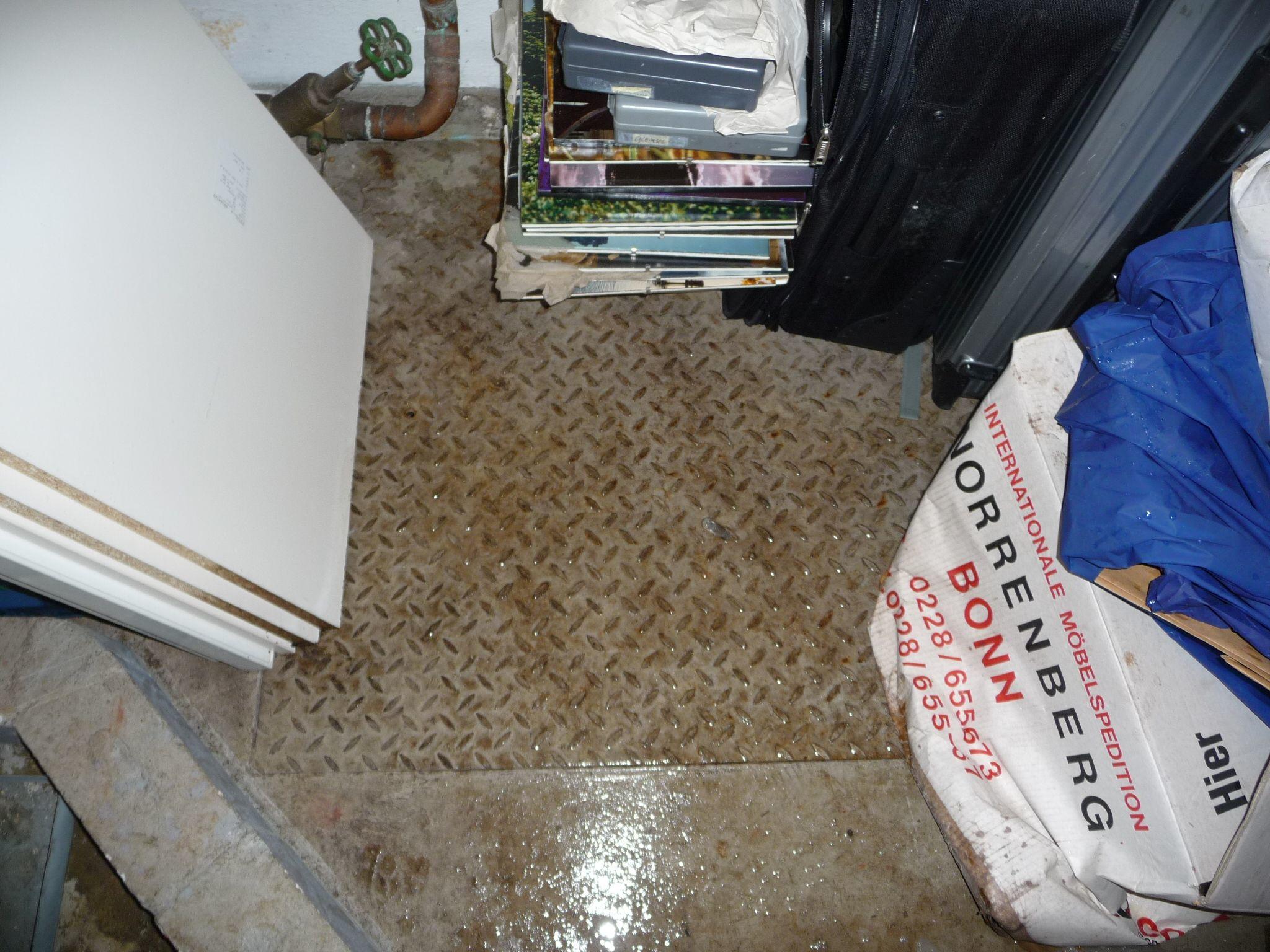 Nasse Gegenstände durch einen Wasserschaden in Berlin